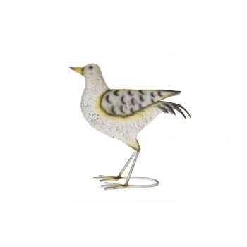 Ptak brzegowy Cromer kamusznik