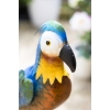 Kolorowa papuga Rio